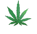 weed